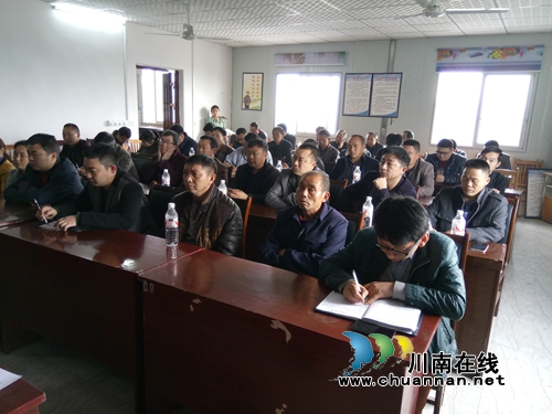 泸县石桥镇召开社社通公路路基工程建设现场会(图4)