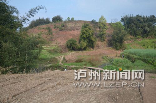 又画草图又捐20万 成都好心人助力泸州村道通车(图2) 又画草图又捐20万 成都好心人助力泸州村道通车(图2)