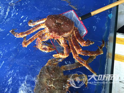 川南最大海鲜批发市场亮相泸州(图2) 川南最大海鲜批发市场亮相泸州(图2)