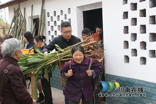 泸县潮河镇为建档立卡贫困户发放砂仁种苗(图1) 泸县潮河镇为建档立卡贫困户发放砂仁种苗(图1)