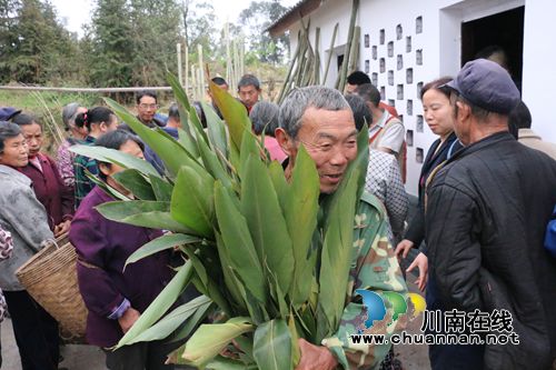 泸县潮河镇为建档立卡贫困户发放砂仁种苗(图2) 泸县潮河镇为建档立卡贫困户发放砂仁种苗(图2)