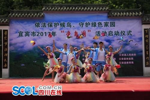 守护野生动物资源&nbsp;宜宾启动2017年“爱鸟周”(图1)