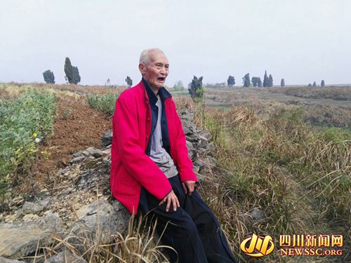 只为一句承诺&nbsp;自贡董家三代人为恩人守墓118年(图4)