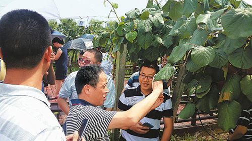 重塑供给侧新优势 培育发展新动能(图2) 重塑供给侧新优势 培育发展新动能(图2)
