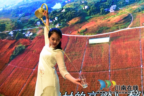 2017江阳区摄协大会：评多项大奖展摄影师风采(图19)