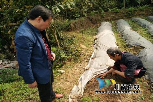 合江县司法局：结合自身职能&nbsp;帮扶出新招(图2)