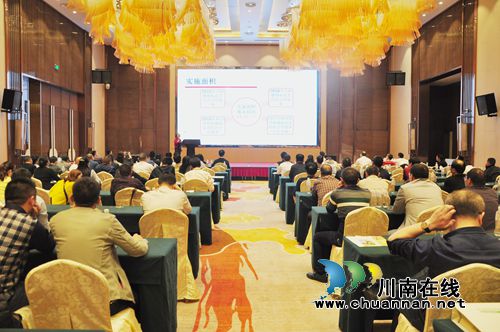 全省水稻带药移栽暨病虫害全程绿色防控现场观摩培训会在泸县召开(图4)