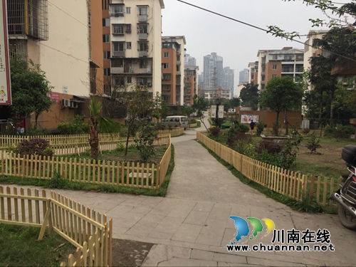 红星街道长桥社区：补栽小区花草&nbsp;扮靓绿色家园(图1)