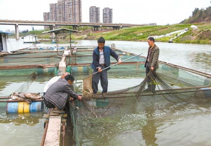 沱江沿岸最后的渔民&nbsp;十年迁徙终将“上岸”(图3)