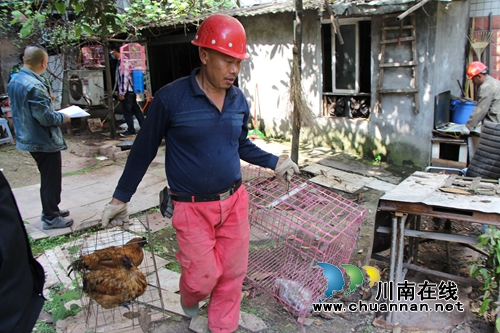 红星街道开展专项整治&nbsp;严禁在小区里饲养家禽(图2)