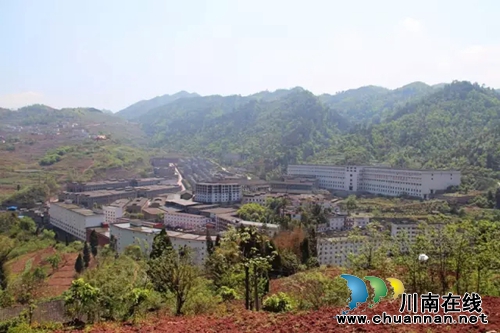 泸州美协采风团首次走进仙潭酒厂(图19)