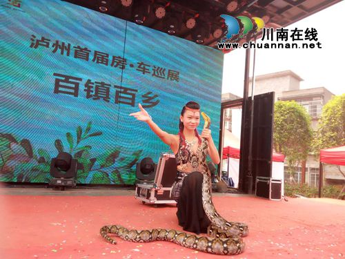 美女与蛇火热劲舞!房车巡展让尧坝古镇春光美(图20) 美女与蛇火热劲舞!房车巡展让尧坝古镇春光美(图20)