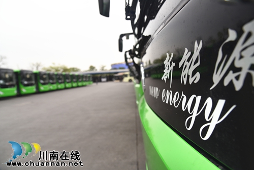 本周&nbsp;泸州公交231路242路更换为新能源空调车(图2)