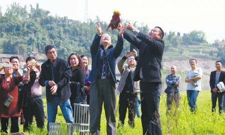 中华秋沙鸭放飞&nbsp;自贡“护鸟镇”成候鸟天堂(图2)