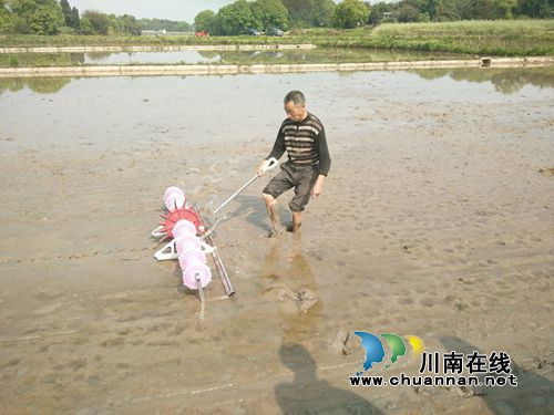 合江县推广试验水稻直播新机具(图1)