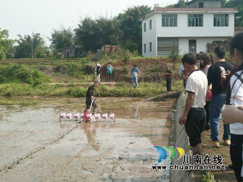 合江县推广试验水稻直播新机具(图2)