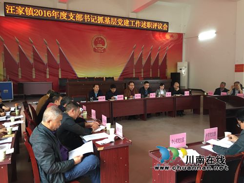 宜宾汪家镇召开基层党支部书记抓党建工作述职评议会(图1)