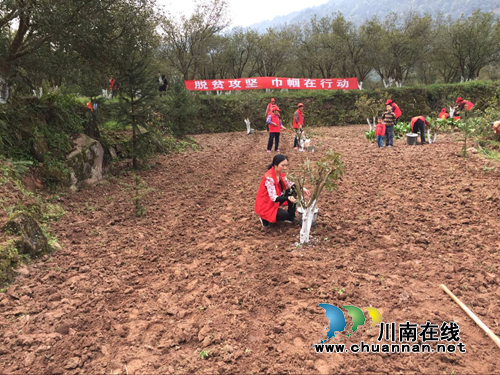 合江县妇联开展“脱贫攻坚，巾帼在行动”活动(图2)