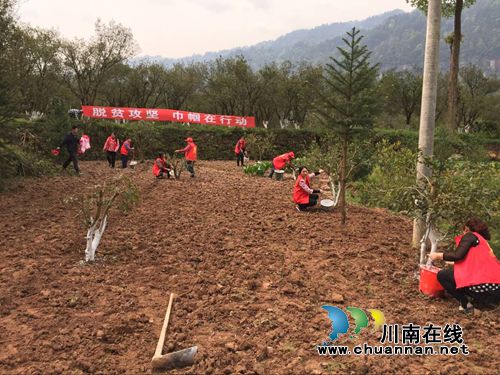 合江县妇联开展“脱贫攻坚，巾帼在行动”活动(图1)