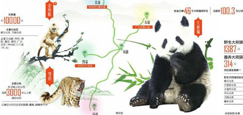 不只有大熊猫！揭秘四川“国宝”保护地图(图1)