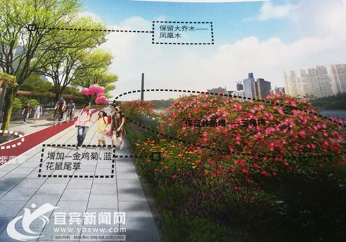 宜宾打造金沙江湿地公园 “海绵城市”亮点多(图3) 宜宾打造金沙江湿地公园 “海绵城市”亮点多(图3)