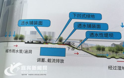 宜宾打造金沙江湿地公园 “海绵城市”亮点多(图4) 宜宾打造金沙江湿地公园 “海绵城市”亮点多(图4)