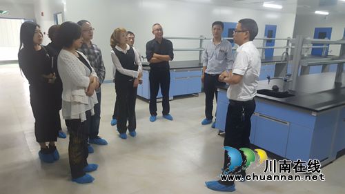 省民营办专家组到泸县诊断评审科瑞德制药现代企业制度建立(图3)