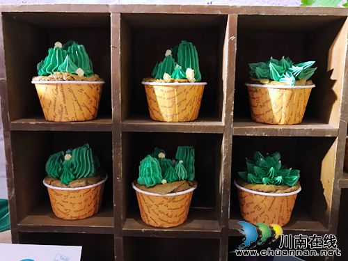 4月27日&nbsp;到泸州董允坝品蔬菜听音乐畅游乡村(图13)