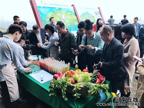 4月27日&nbsp;到泸州董允坝品蔬菜听音乐畅游乡村(图17)