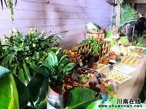 4月27日&nbsp;到泸州董允坝品蔬菜听音乐畅游乡村(图16)