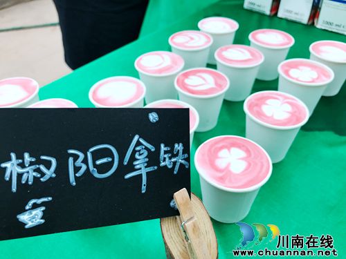 4月27日&nbsp;到泸州董允坝品蔬菜听音乐畅游乡村(图26)