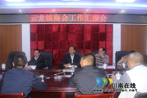 泸县政协到云龙镇调研商会运作情况(图3)