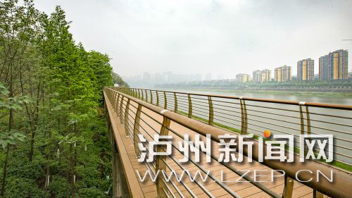 泸州正在加紧建设中的漫游步游系统沱江南岸沱二桥至沱三桥绿道项目 记者牟科 摄