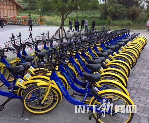 内江50辆共享单车被锁铁链 市民问:啥情况?(图1) 内江50辆共享单车被锁铁链 市民问:啥情况?(图1)