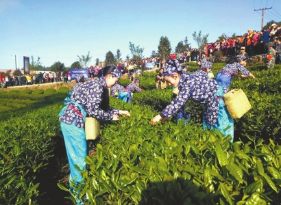 吃樱桃品茶香&nbsp;宜宾高县举办百里茶廊旅游节(图1)