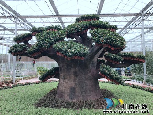 第二届“董允坝蔬菜节”免费抢票火热进行中!(图6) 第二届“董允坝蔬菜节”免费抢票火热进行中!(图6)