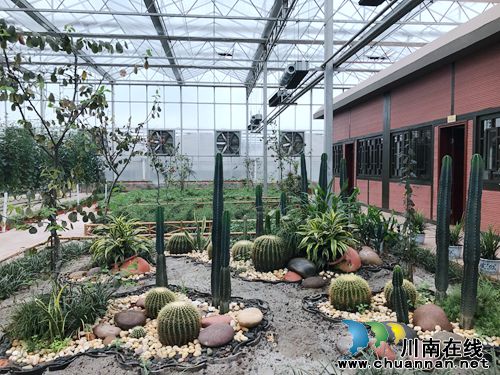 第二届“董允坝蔬菜节”免费抢票火热进行中!(图7) 第二届“董允坝蔬菜节”免费抢票火热进行中!(图7)