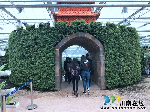 第二届“董允坝蔬菜节”免费抢票火热进行中!(图5) 第二届“董允坝蔬菜节”免费抢票火热进行中!(图5)