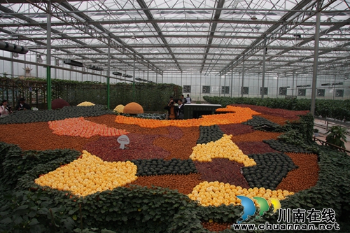 第二届“董允坝蔬菜节”免费抢票火热进行中!(图1) 第二届“董允坝蔬菜节”免费抢票火热进行中!(图1)