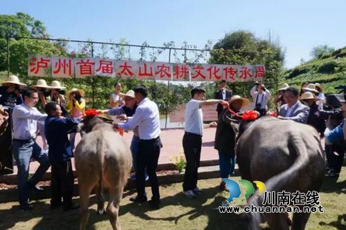 泸州首届太山农耕文化传承周让你尽享春耕生活(图2) 泸州首届太山农耕文化传承周让你尽享春耕生活(图2)
