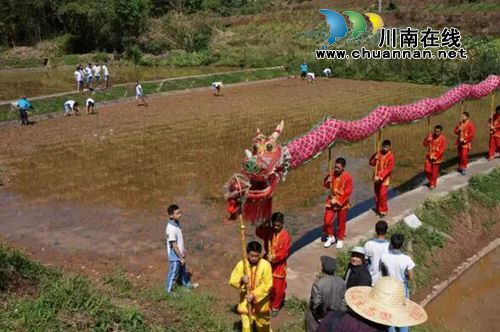 泸州首届太山农耕文化传承周让你尽享春耕生活(图5) 泸州首届太山农耕文化传承周让你尽享春耕生活(图5)