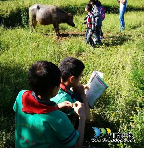 泸州首届太山农耕文化传承周让你尽享春耕生活(图9) 泸州首届太山农耕文化传承周让你尽享春耕生活(图9)