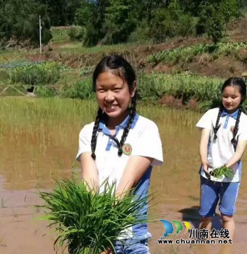 泸州首届太山农耕文化传承周让你尽享春耕生活(图11) 泸州首届太山农耕文化传承周让你尽享春耕生活(图11)