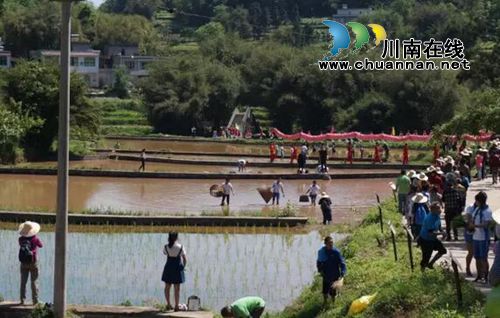 泸州首届太山农耕文化传承周让你尽享春耕生活(图10) 泸州首届太山农耕文化传承周让你尽享春耕生活(图10)
