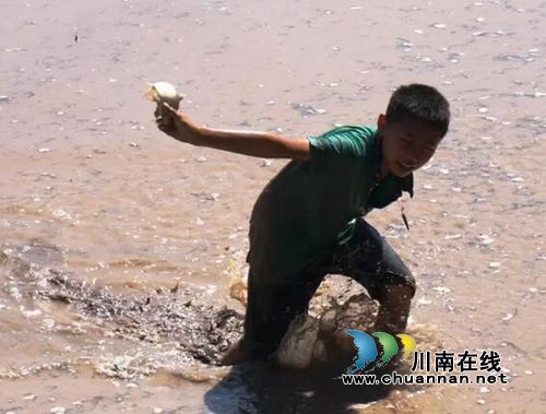 泸州首届太山农耕文化传承周让你尽享春耕生活(图12) 泸州首届太山农耕文化传承周让你尽享春耕生活(图12)