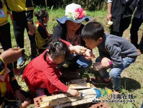 泸州首届太山农耕文化传承周让你尽享春耕生活(图16) 泸州首届太山农耕文化传承周让你尽享春耕生活(图16)