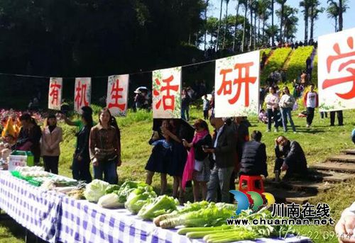 泸州首届太山农耕文化传承周让你尽享春耕生活(图18) 泸州首届太山农耕文化传承周让你尽享春耕生活(图18)