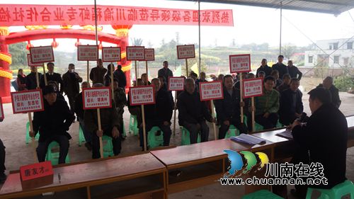 泸县立石：稻虾共田“双赢”促增收(图2)