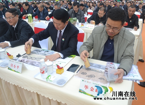 四川(泸州)第二届江之阳蔬菜品赏会盛大开幕(图12) 四川(泸州)第二届江之阳蔬菜品赏会盛大开幕(图12)