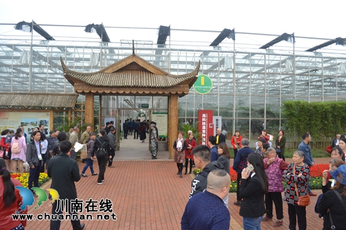 四川(泸州)第二届江之阳蔬菜品赏会盛大开幕(图17) 四川(泸州)第二届江之阳蔬菜品赏会盛大开幕(图17)